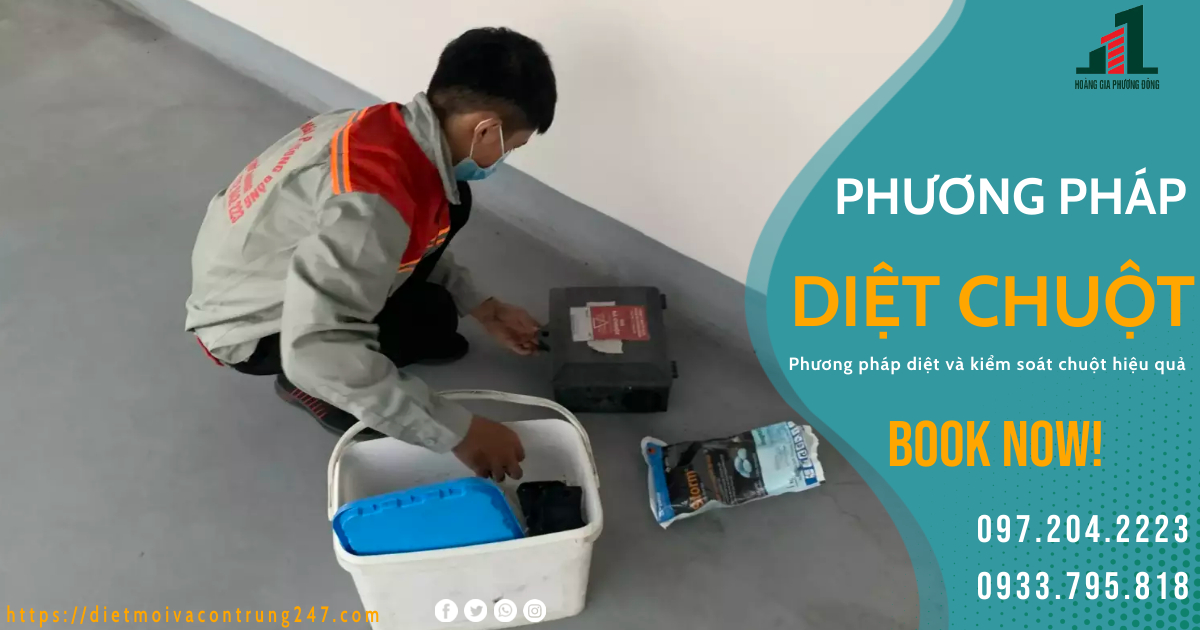 PHƯƠNG PHÁP DIỆT CHUỘT HIỆU QUẢ