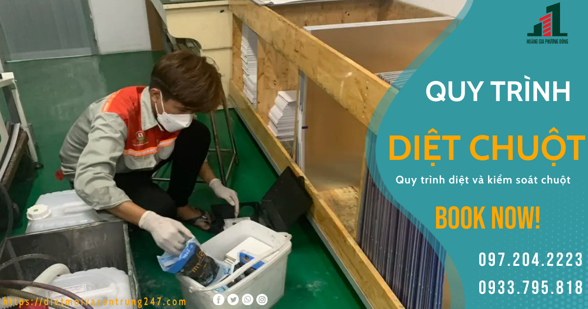 QUY TRÌNH DIỆT CHUỘT TẠI PHƯƠNG ĐÔNG