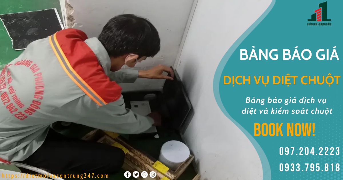 BẢNG BÁO GIÁ DỊCH VỤ DIỆT CHUỘT