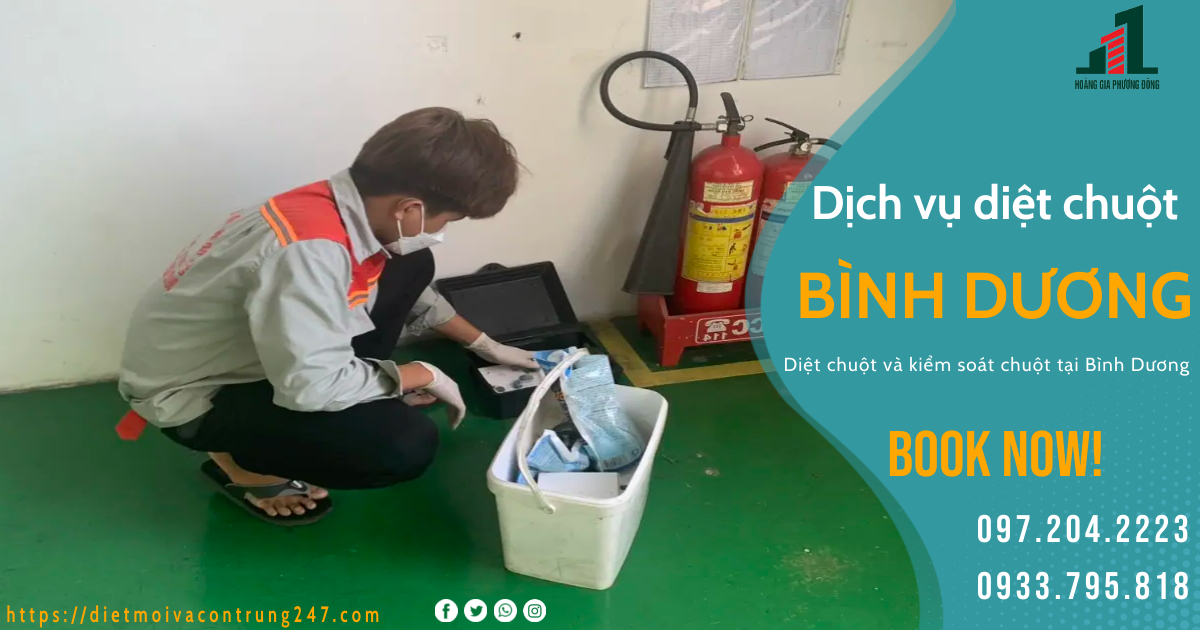 DỊCH VỤ DIỆT CHUỘT TẠI BÌNH DƯƠNG