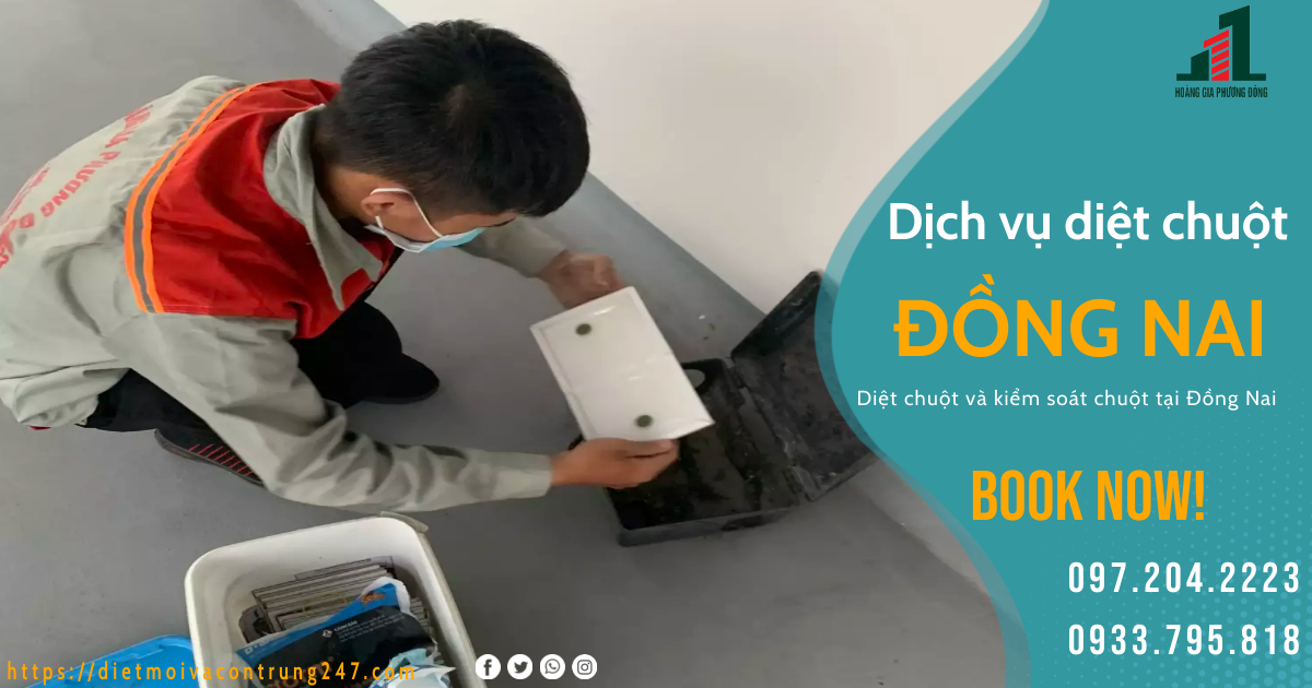 DỊCH VỤ DIỆT CHUỘT TẠI ĐỒNG NAI
