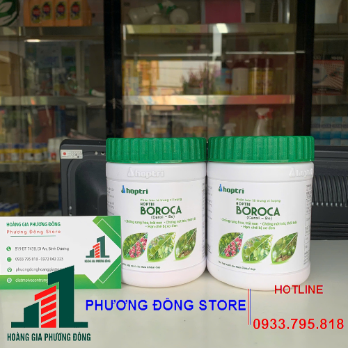 Phân bón lá trung vi lượng BOROCA