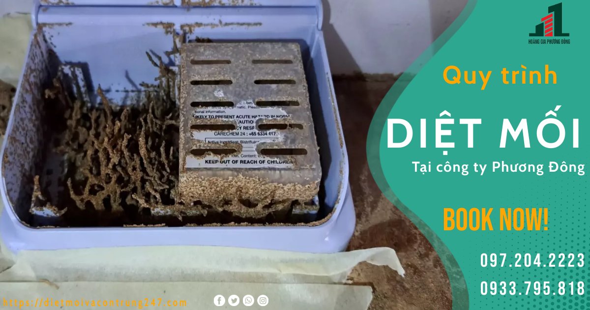 QUY TRÌNH DIỆT MỐI TẠI PHƯƠNG ĐÔNG