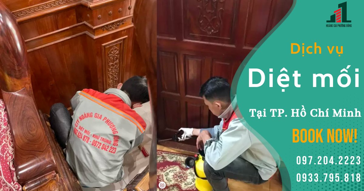 DIỆT MỐI TẬN GỐC TP HỒ CHÍ MINH