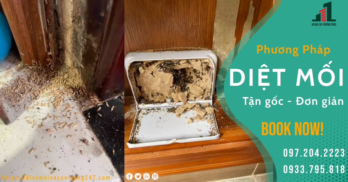 PHƯƠNG PHÁP DIỆT MỐI TẬN GỐC