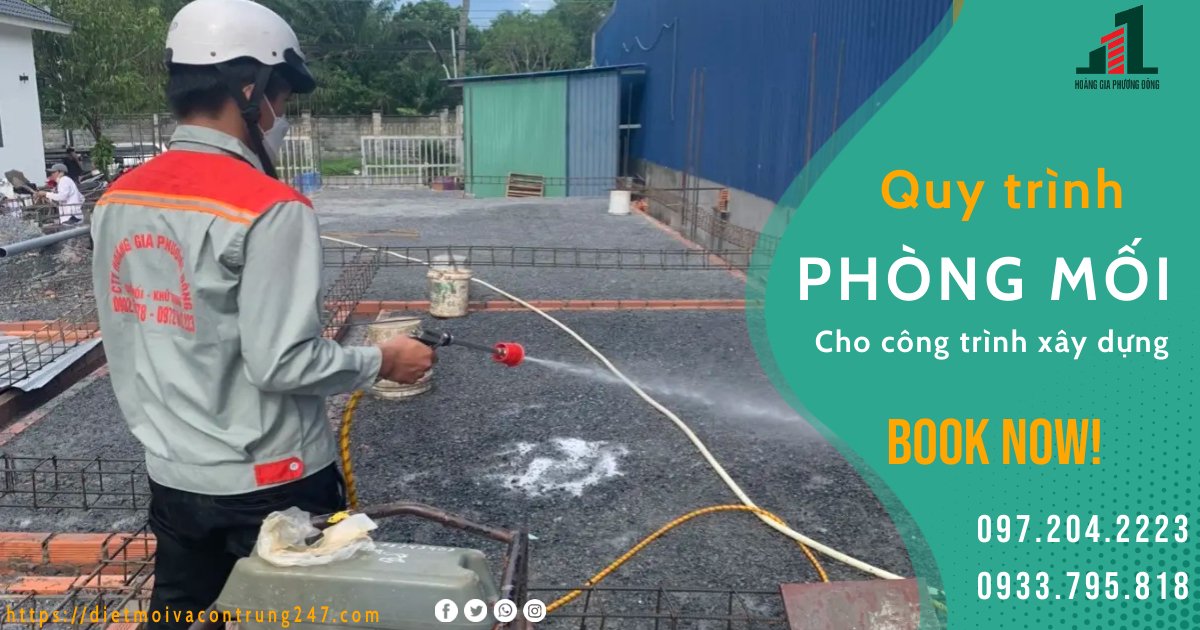 QUY TRÌNH PHÒNG CHỐNG MỐI