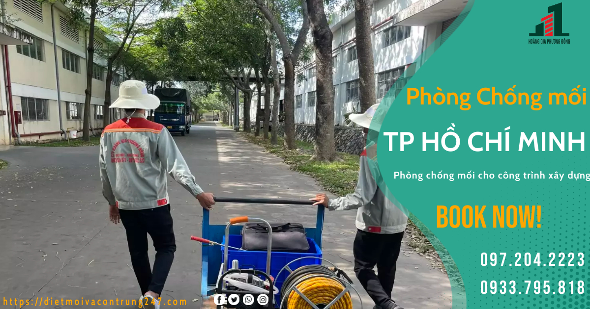PHÒNG CHỐNG MỐI CTXD TẠI TP HỒ CHÍ MINH