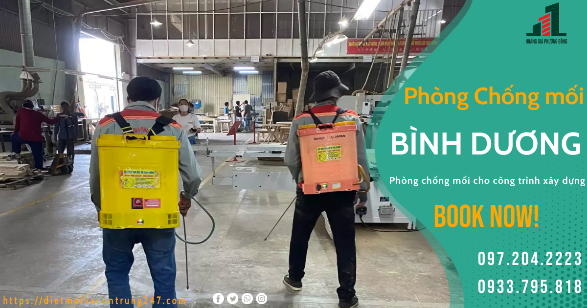 PHÒNG CHỐNG MỐI CTXD TẠI BÌNH DƯƠNG