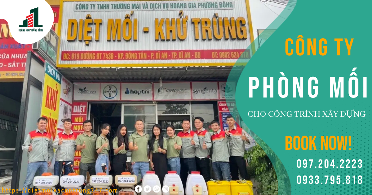 CÔNG TY PHÒNG CHỐNG MỐI CTXD