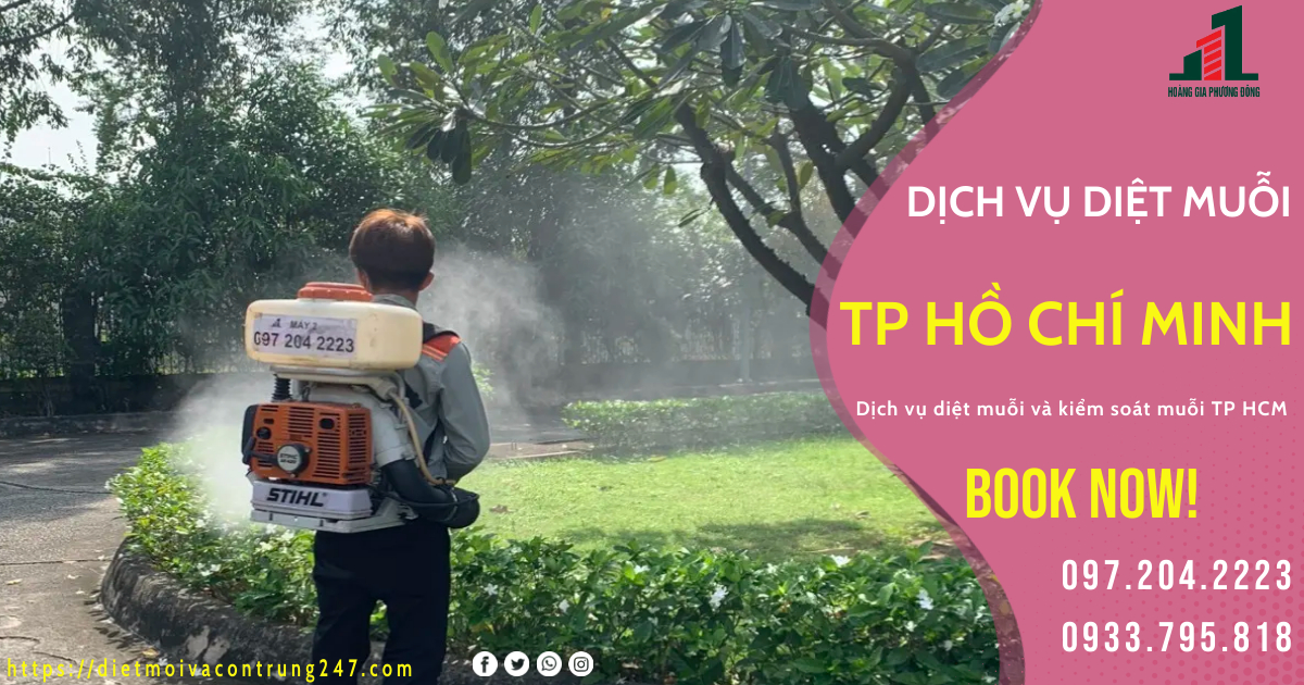 DỊCH VỤ DIỆT MUỖI TẠI TP HỒ CHÍ MINH