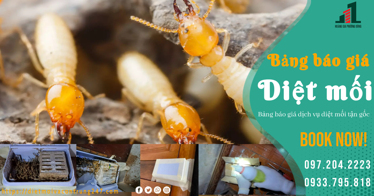 BẢNG GIÁ DỊCH VỤ DIỆT MỐI TẠI NHÀ