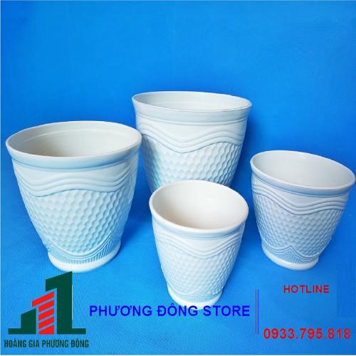 Chậu Vân Tổ Ong 