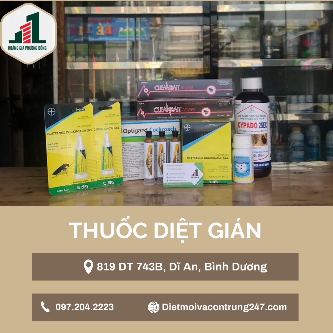 Thuốc diệt gián