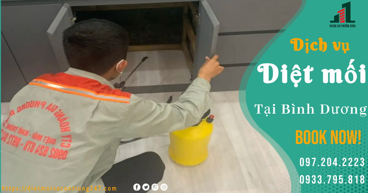 DIỆT MỐI TẬN GỐC TẠI BÌNH DƯƠNG