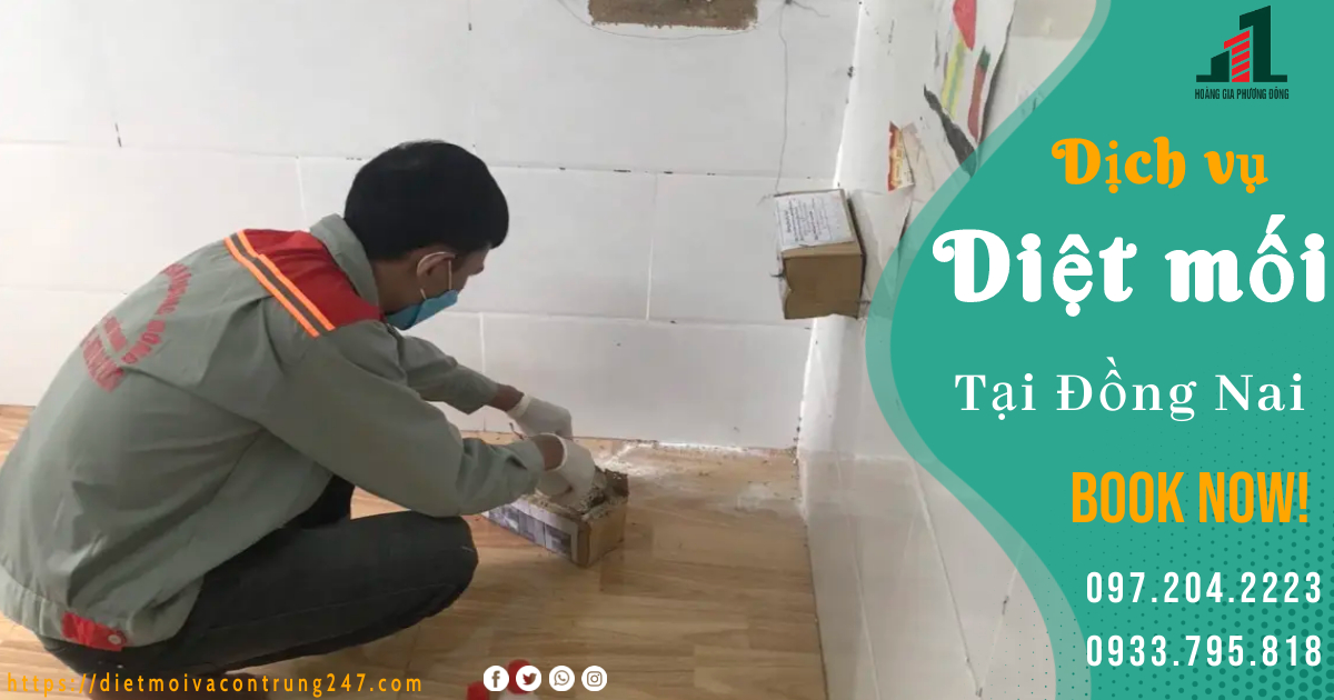 DIỆT MỐI TẬN GỐC TẠI ĐỒNG NAI