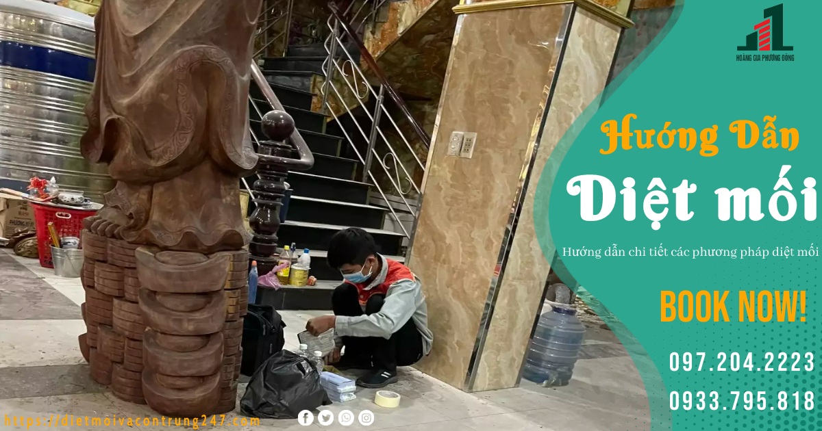 HƯỚNG DẪN CHI TIẾT CÁC PHƯƠNG PHÁP DIỆT MỐI