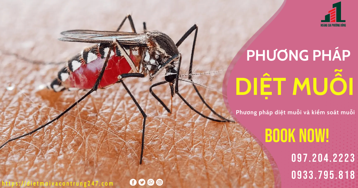 PHƯƠNG PHÁP DIỆT MUỖI HIỆU QUẢ