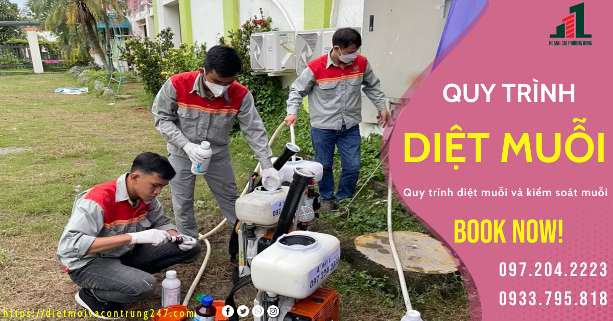 QUY TRÌNH DỊCH VỤ DIỆT MUỖI
