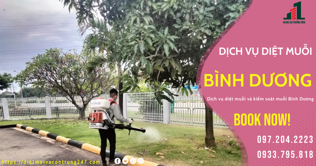 DỊCH VỤ DIỆT MUỖI TẠI BÌNH DƯƠNG