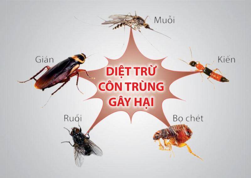 Diệt côn trùng