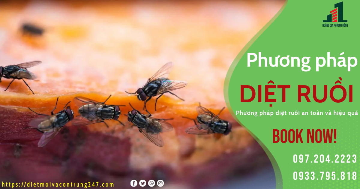 PHƯƠNG PHÁP DIỆT RUỒI HIỆU QUẢ