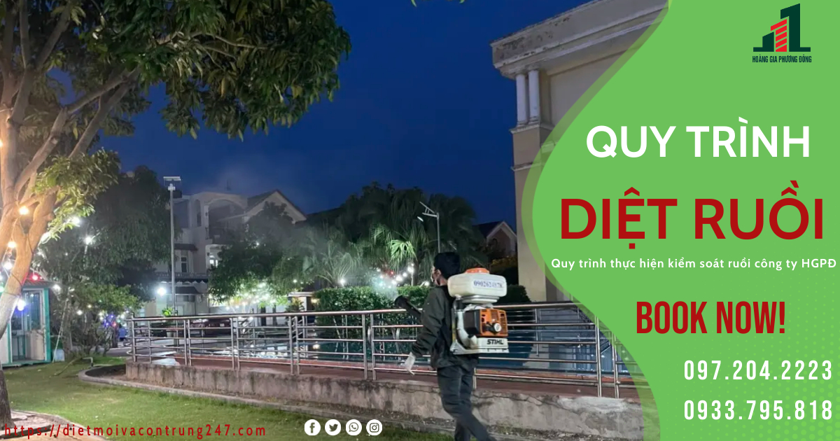 QUY TRÌNH DIỆT RUỒI