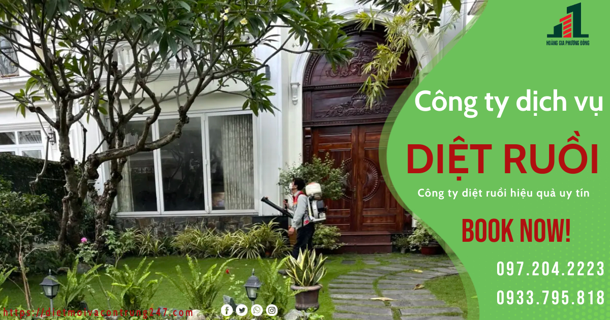 CÔNG TY DIỆT RUỒI UY TÍN