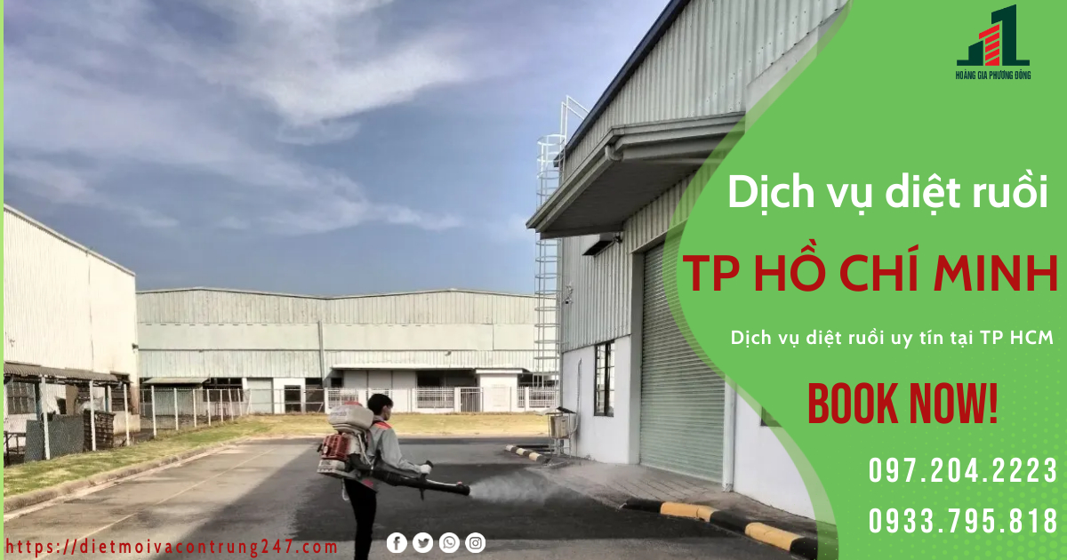 DỊCH VỤ DIỆT RUỒI TẠI TP HỒ CHÍ MINH