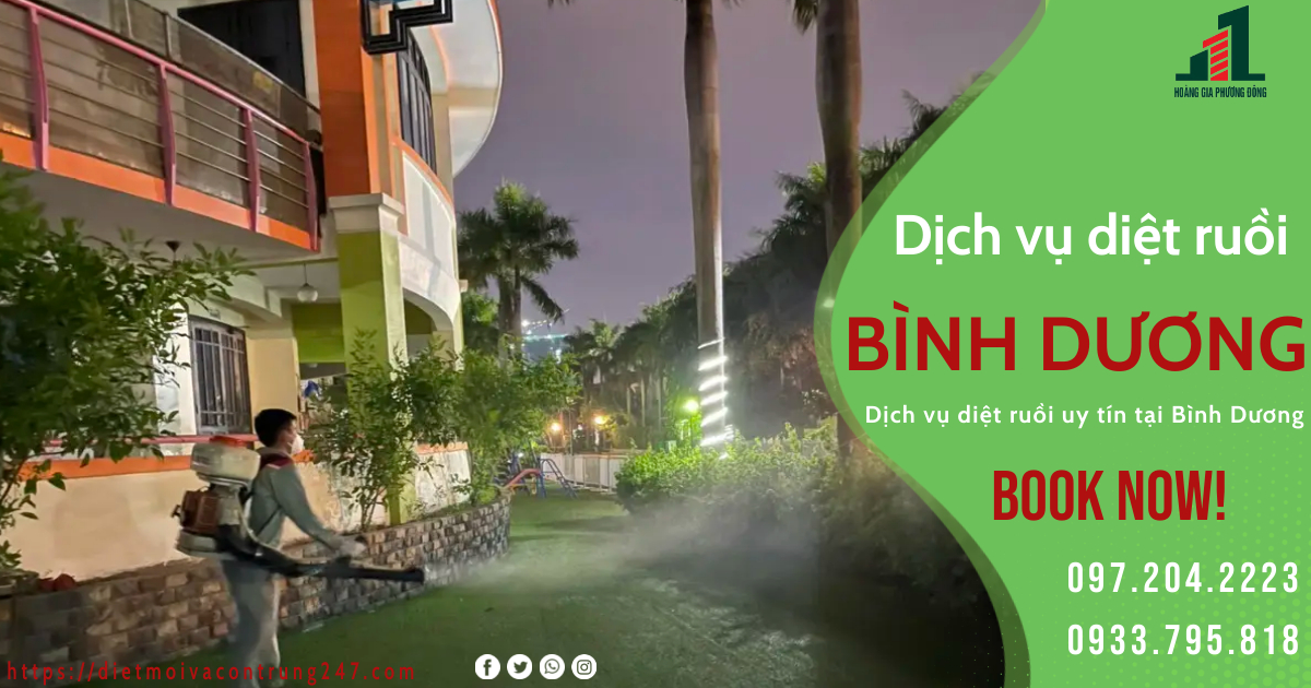 DỊCH VỤ DIỆT RUỒI TẠI BÌNH DƯƠNG