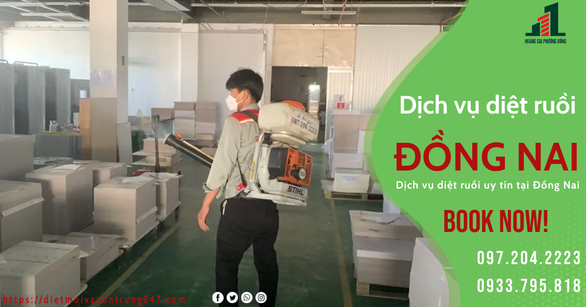 DỊCH VỤ DIỆT RUỒI TẠI ĐỒNG NAI