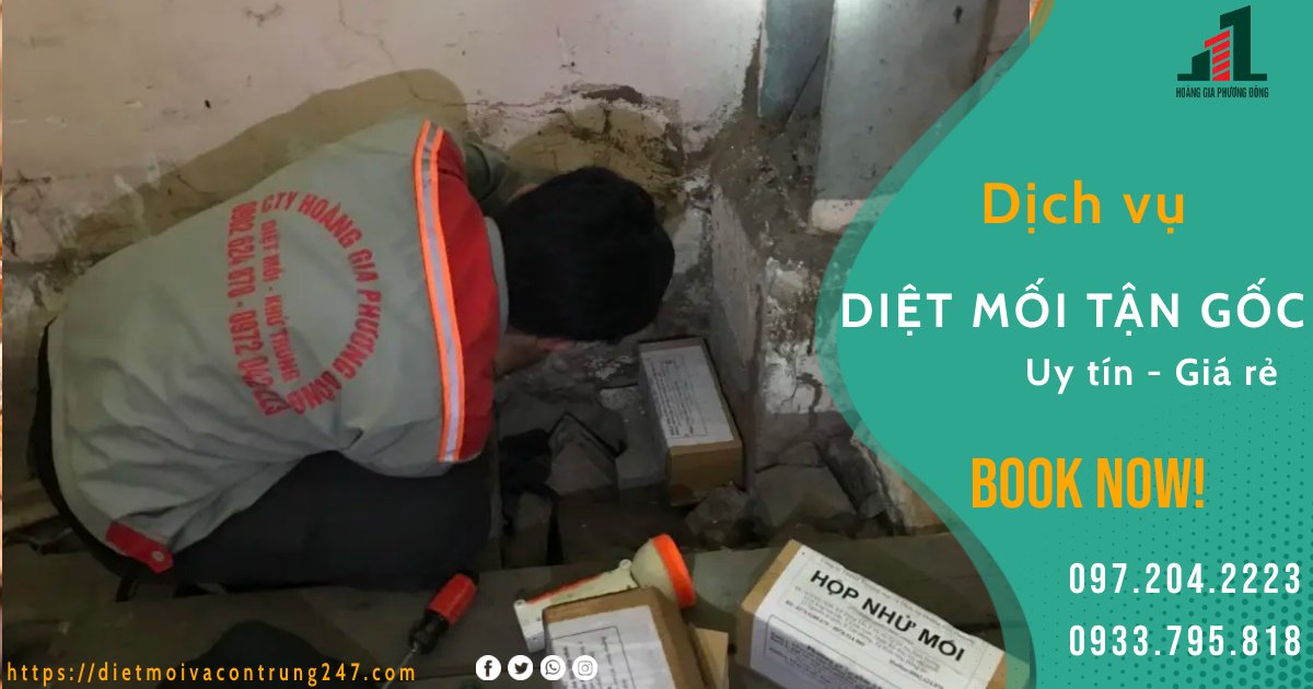 DỊCH VỤ DIỆT MỐI TẬN GỐC