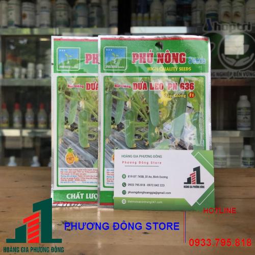 Hạt giống dưa leo F1 PN-636