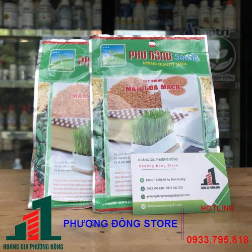 Hạt giống Mầm lúa mạch