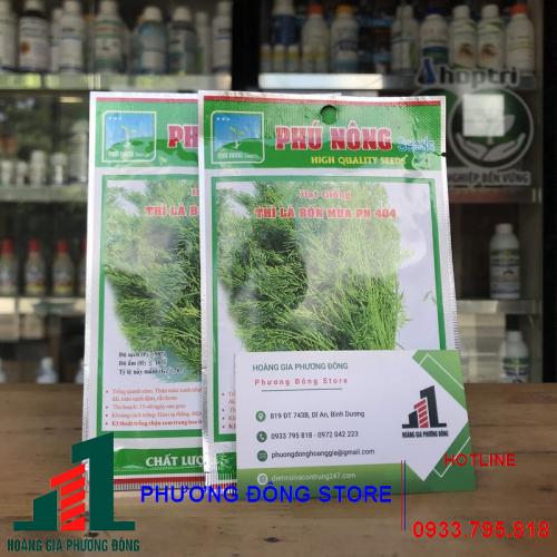 Hạt giống thì là