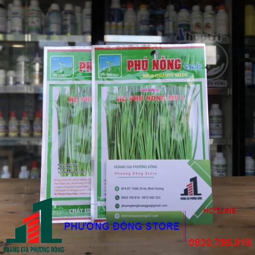 Hạt giống cây hẹ