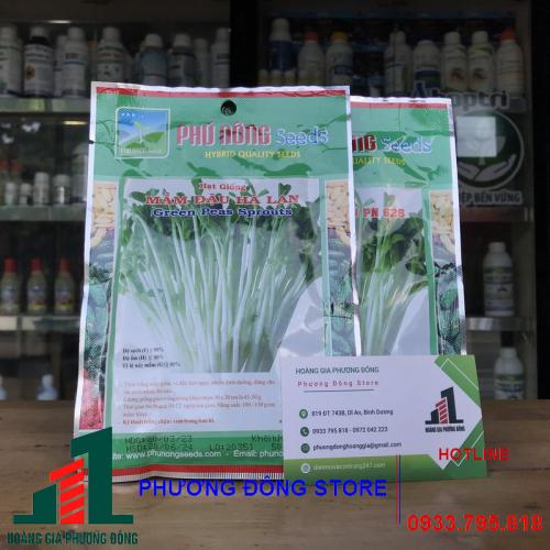 Hạt giống mầm đậu Hà Lan