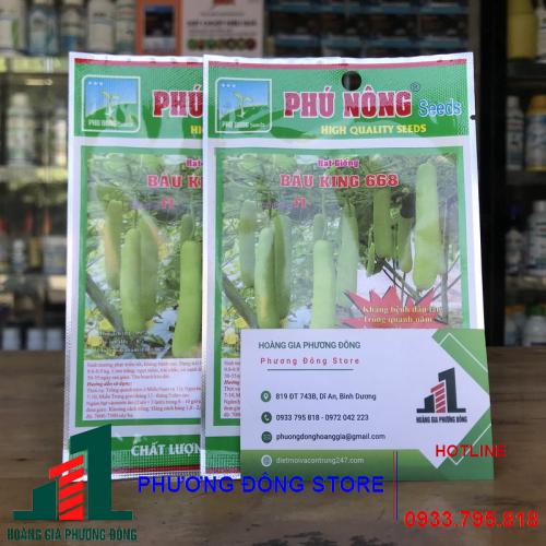 Hạt giống bầu lai