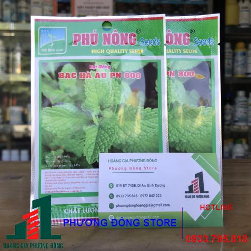 Hạt giống bạc hà âu (húng lủi) 