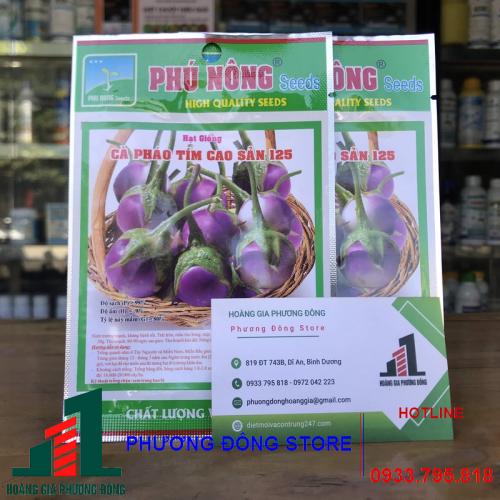 Hạt giống cà pháo tím