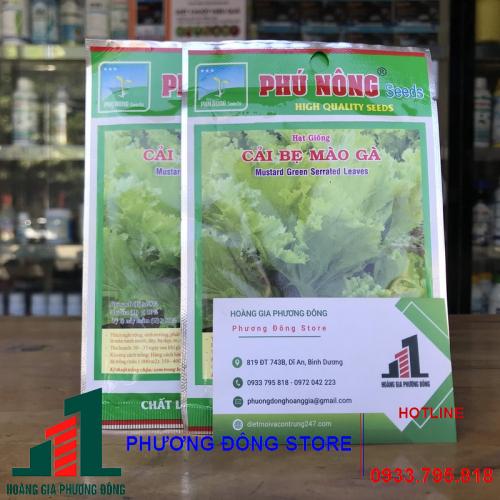 Hạt giống cải bẹ mào gà