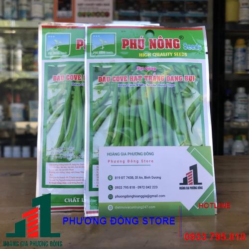 Hạt giống đậu cove trắng (bụi)