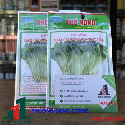 Hạt giống rau mầm bông cải xanh