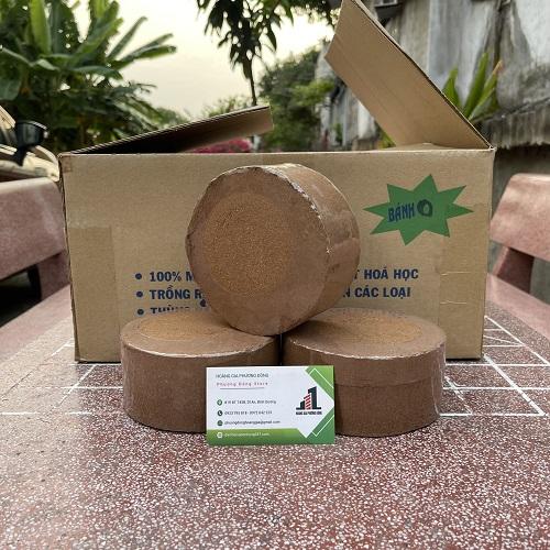Viên nén xơ dừa dạng tròn, vuông ĐSMĐ